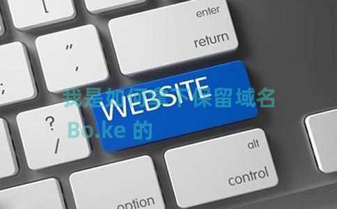 我是如何拿下保留域名 Bo.ke 的 我是如何拿下保留域名 Bo.ke 的